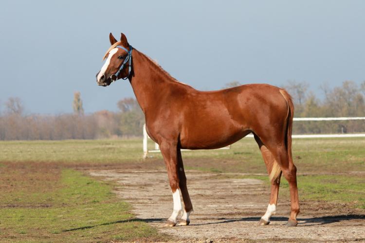 Акционерное общество "Брода"